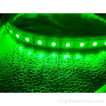 Certificato ROHS CE SMD5050 RGB Color Christmas Light